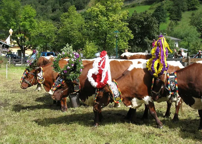 Hotel Lukasmayr Fusch an der Glocknerstraße
